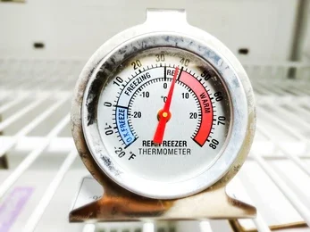 Refrigerated Van Rentals in Dubai: A Must-Have for Temperature-Sensitive Deliveries 2 Refrigerated Van Rentals in Dubai